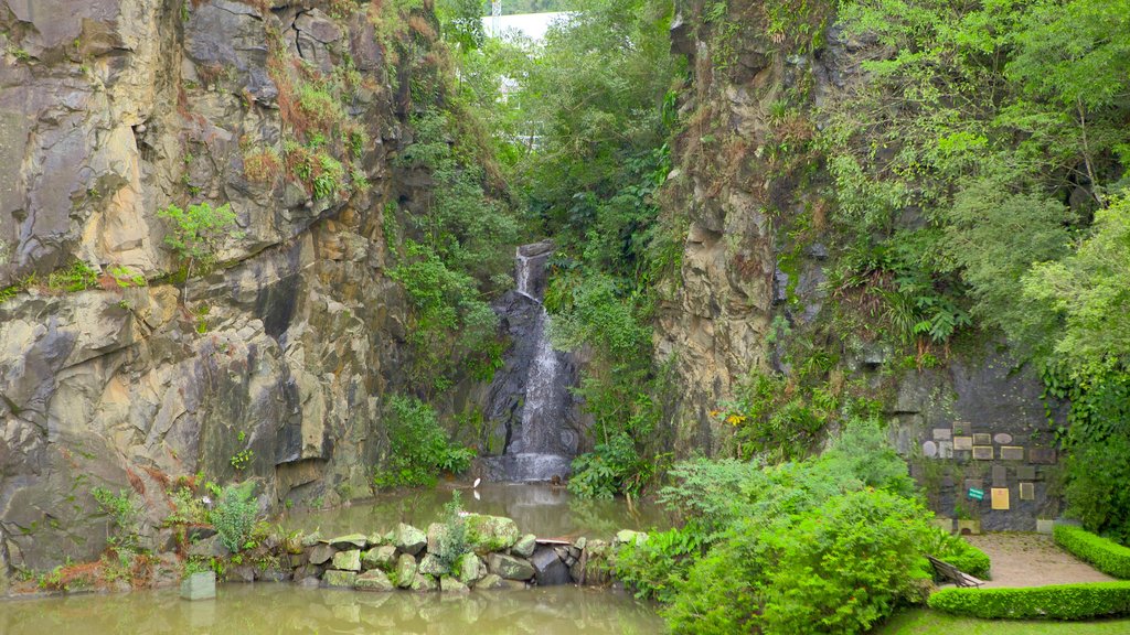 Ópera de Arame bevat een rivier of beek