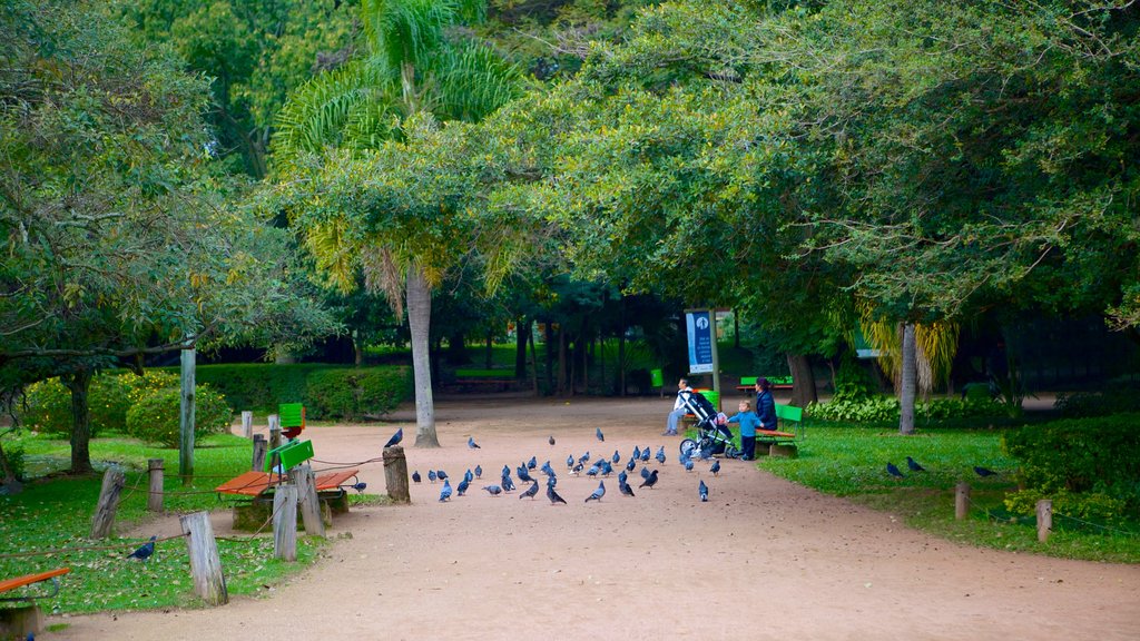 Moinhos de Vento Park featuring a garden