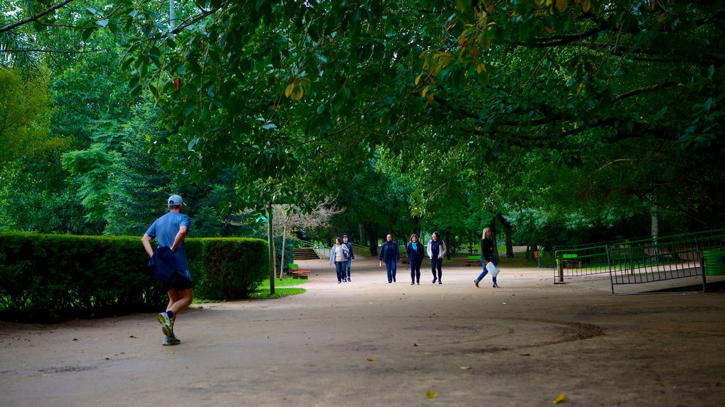 Parque Moinhos de Vento que incluye caminatas y jardín y también un hombre