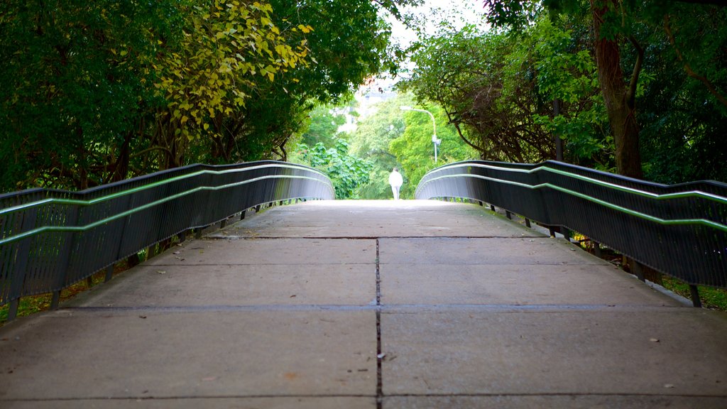 Moinhos de Vento Park which includes a garden and a bridge