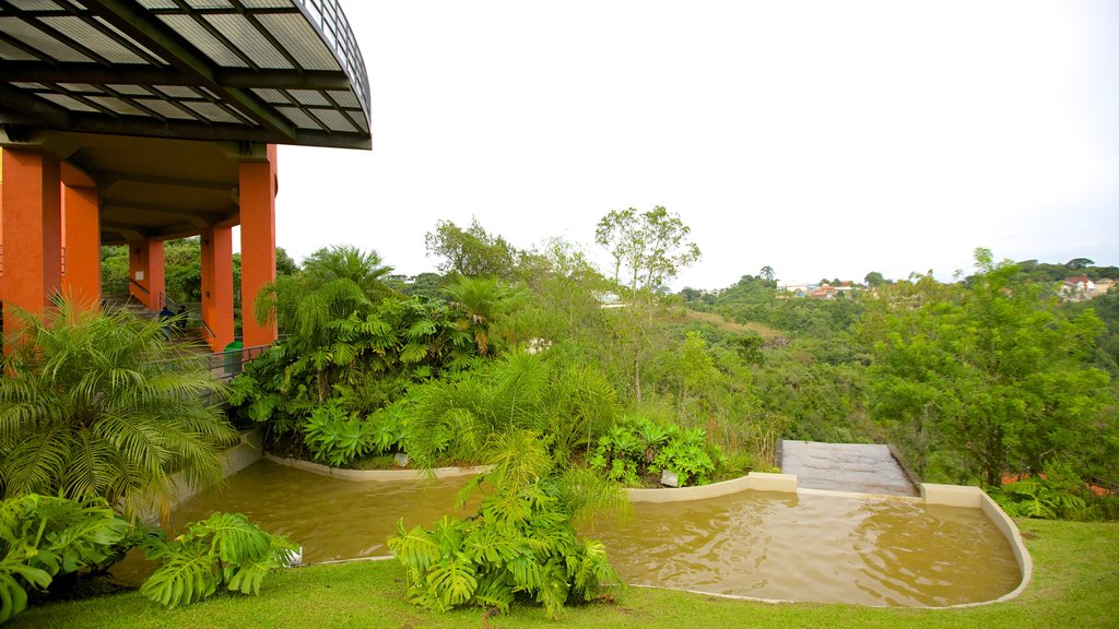 Parque Tanguá mostrando um lago e um jardim