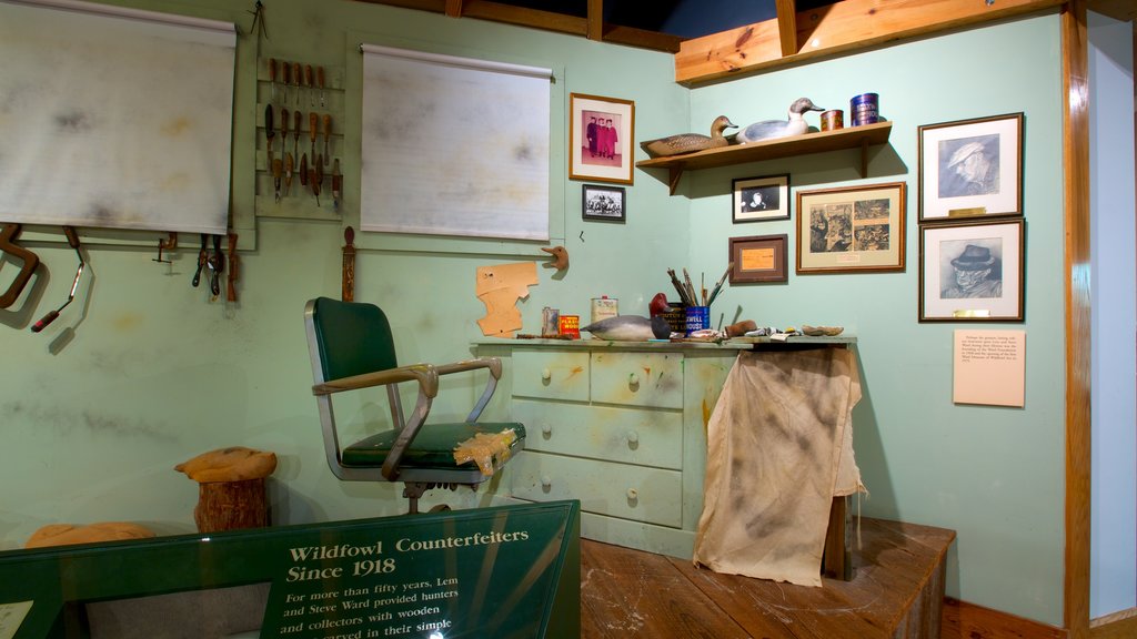 Ward Museum of Wildfowl Art showing art and interior views