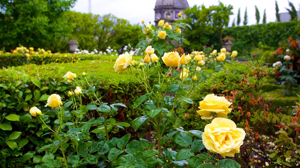 Palacio dos Biscainhos which includes a garden and flowers