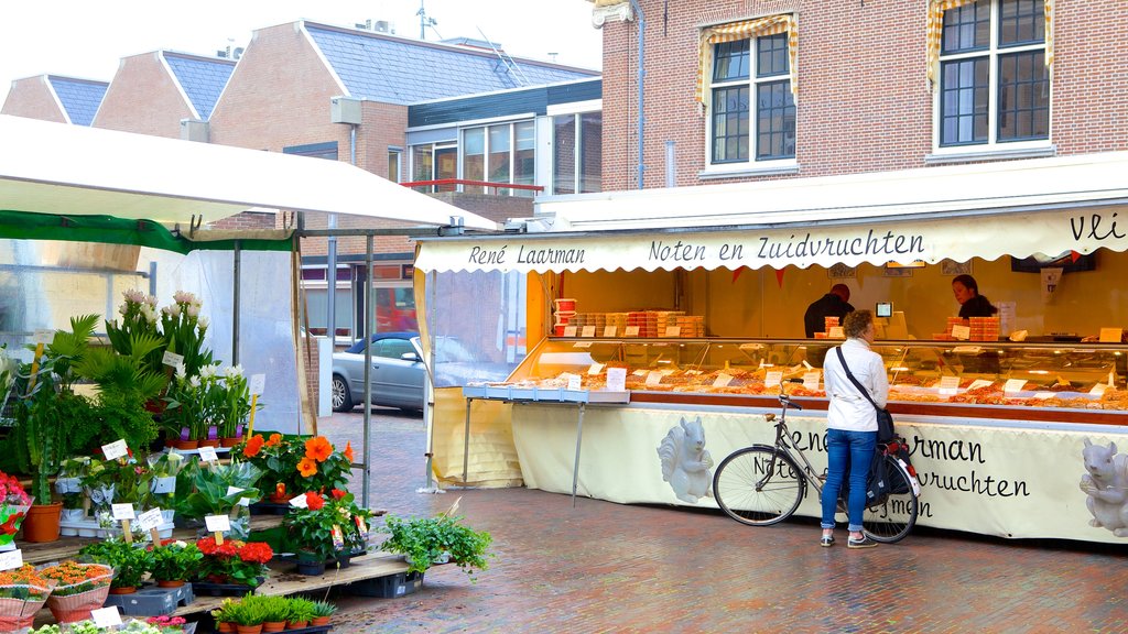 Zandvoort ofreciendo imágenes de calles y shopping