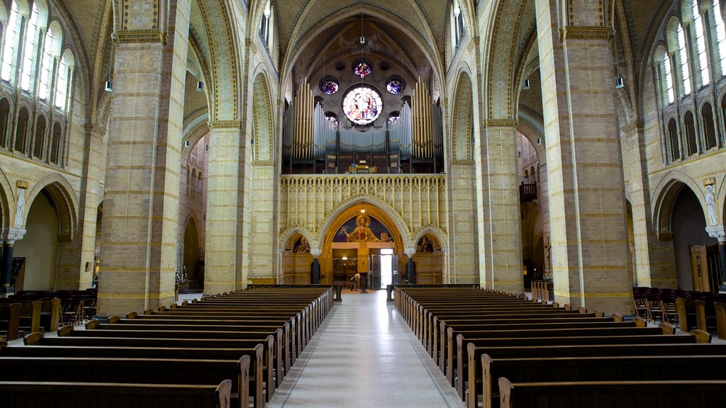 Cathedral of Saint Bavo showing religious elements, interior views and a church or cathedral