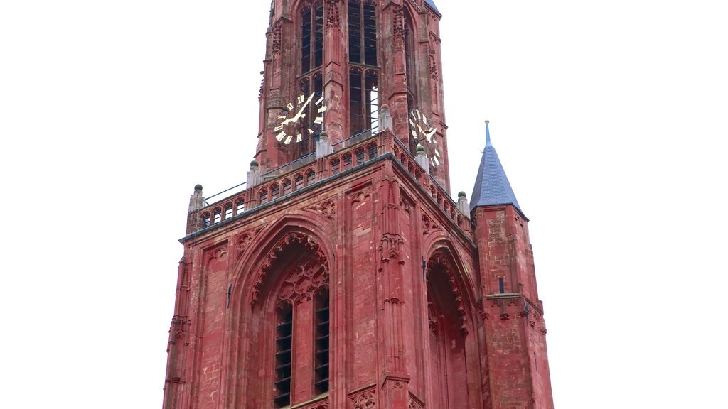 St. Servaas Church showing heritage elements, a church or cathedral and heritage architecture