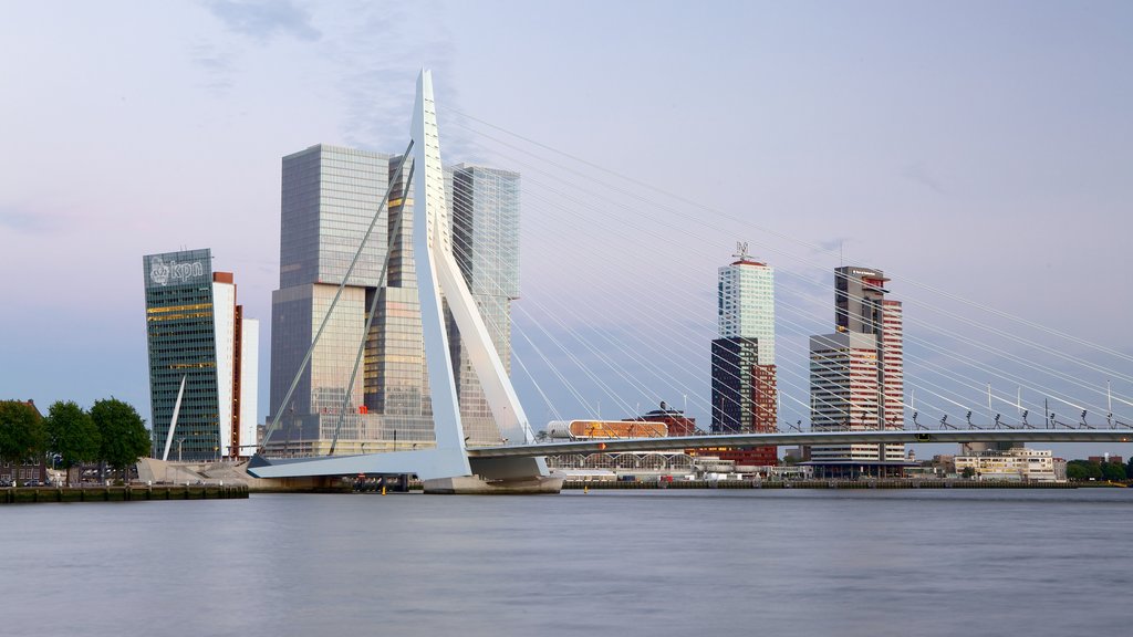 Erasmusbrug toont steden, moderne architectuur en een brug