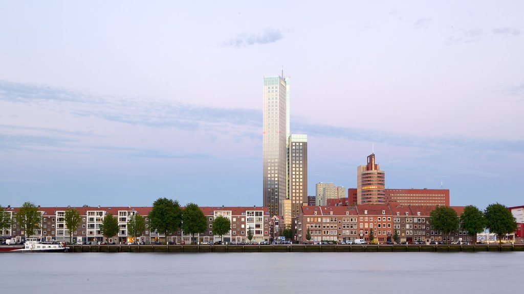 Erasmus Bridge showing a city, a river or creek and a high-rise building