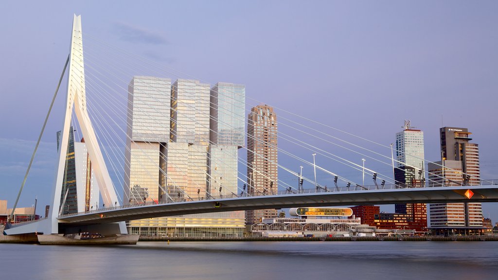 Erasmus Bridge showing a city, a bridge and general coastal views