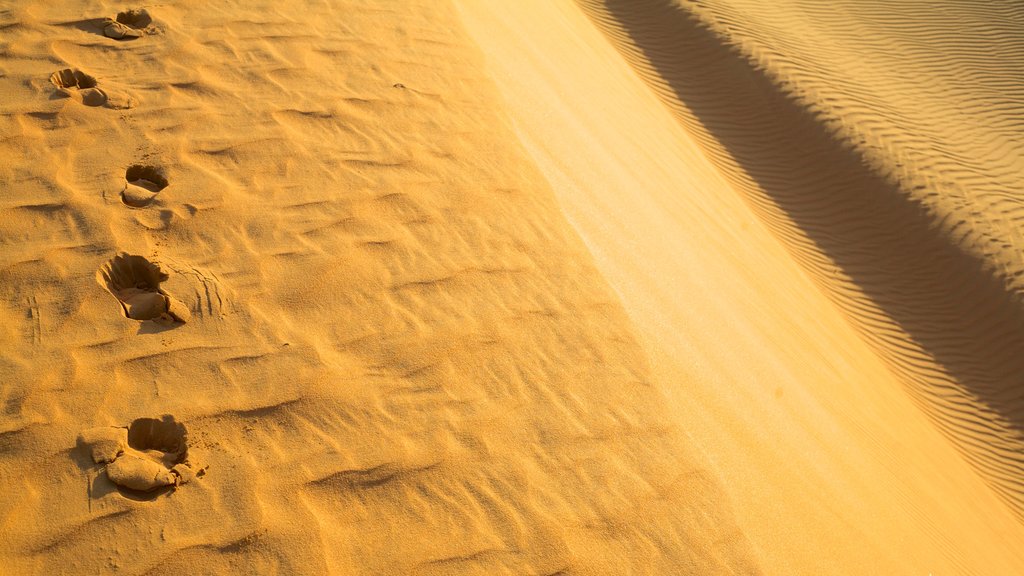 Mui Ne Sand Dunes featuring desert views