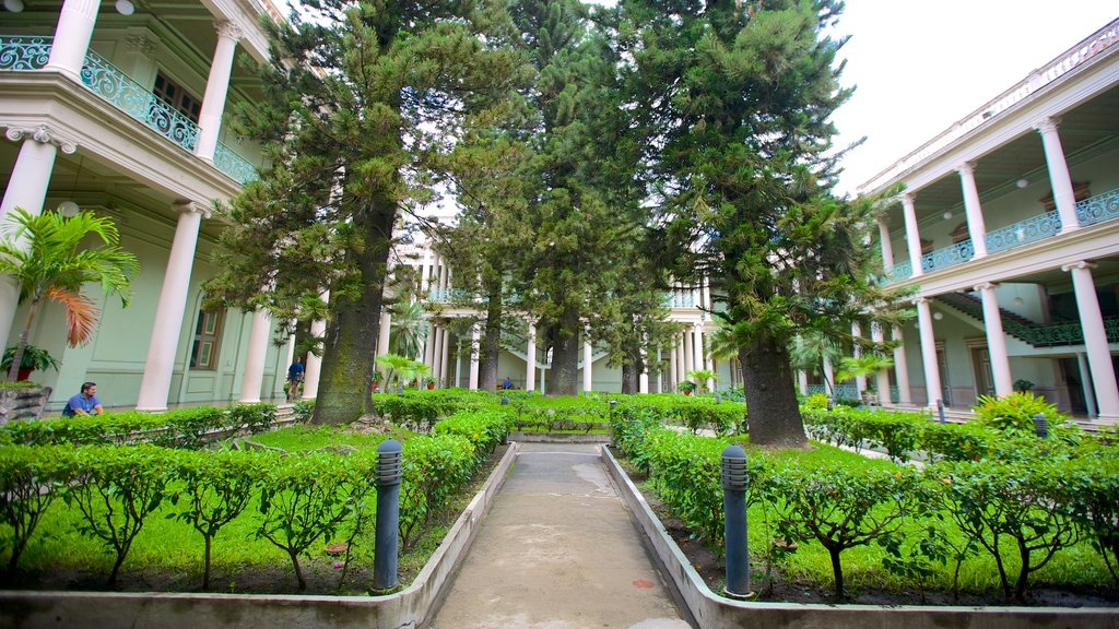 Palacio Nacional mostrando um parque e um castelo