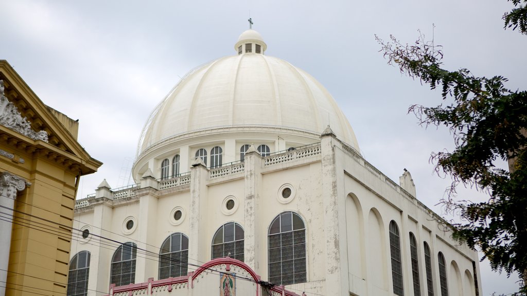 Catedral Metropolitano showing a church or cathedral