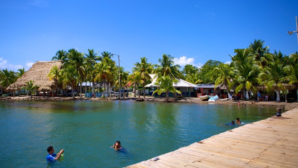 Omoa que incluye escenas tropicales, vistas generales de la costa y natación