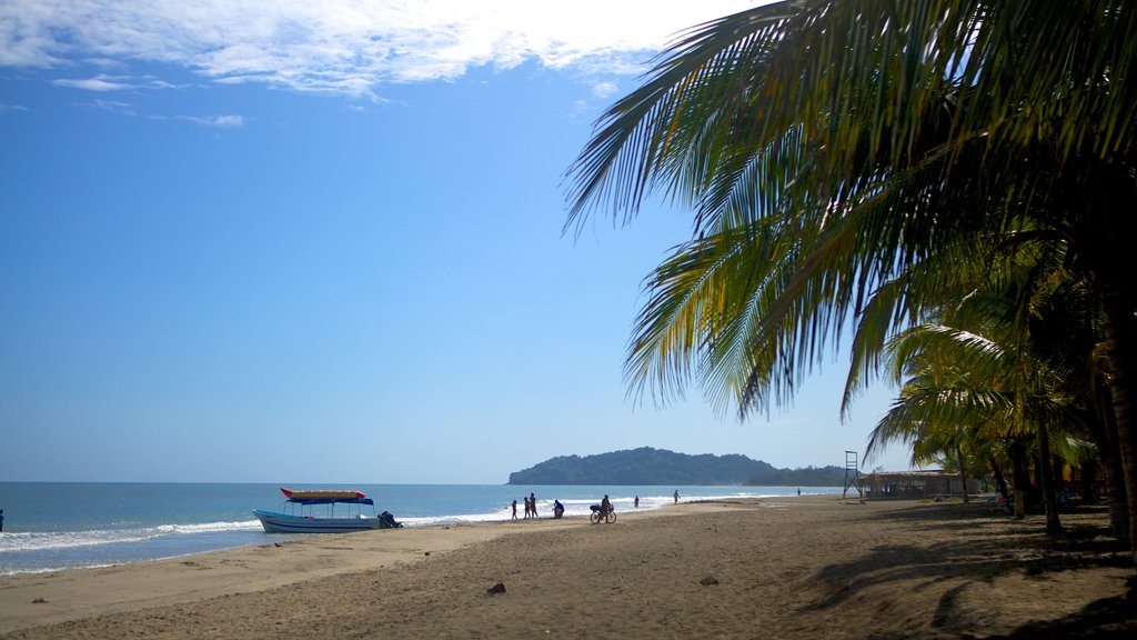 Tela showing a beach and tropical scenes