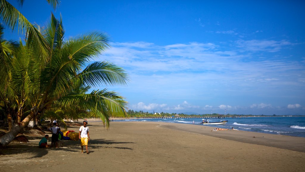 Costa norte que incluye escenas tropicales y una playa de arena y también un pequeño grupo de personas