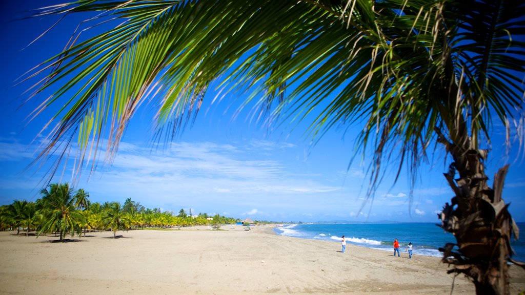 Tela showing a sandy beach, landscape views and tropical scenes