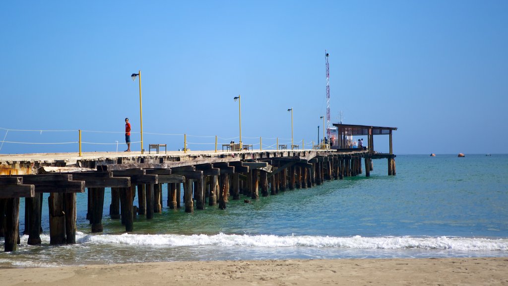 Northern Coast featuring a sandy beach