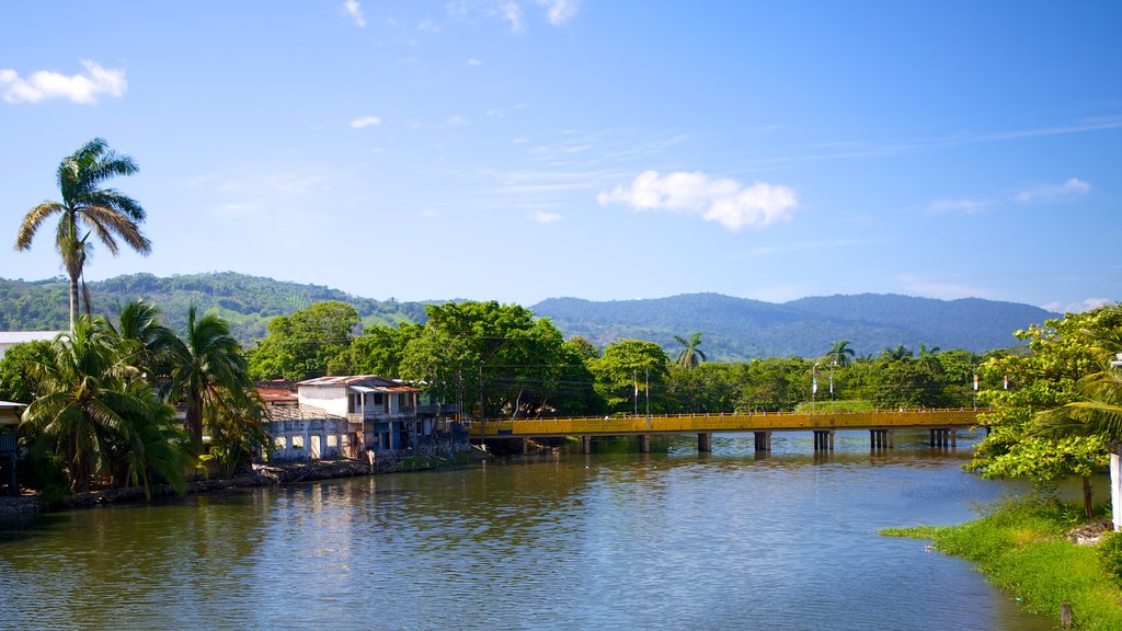 Tela showing a river or creek, tropical scenes and a bridge