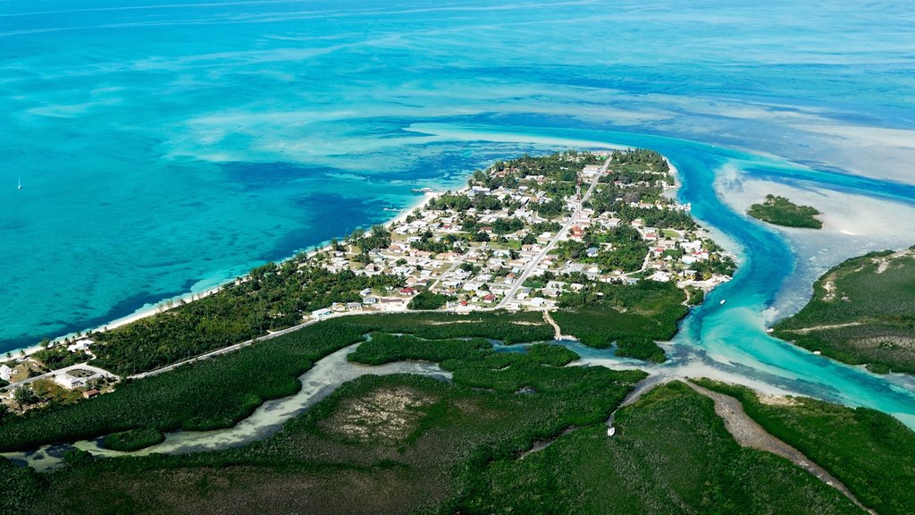 Isla Andros mostrando una ciudad costera