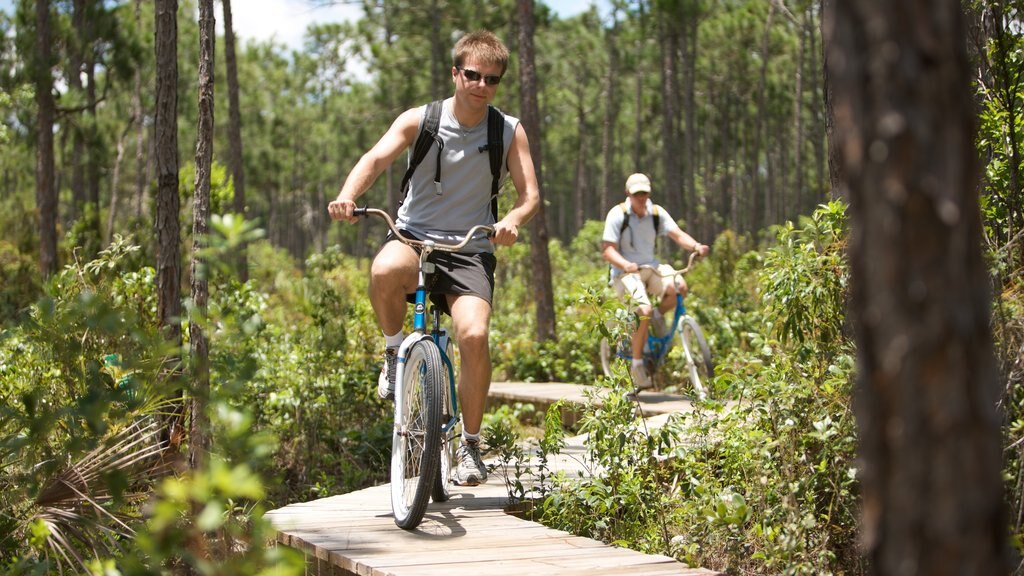 Ilha de Andros mostrando cenas de floresta e mountain bike assim como um pequeno grupo de pessoas