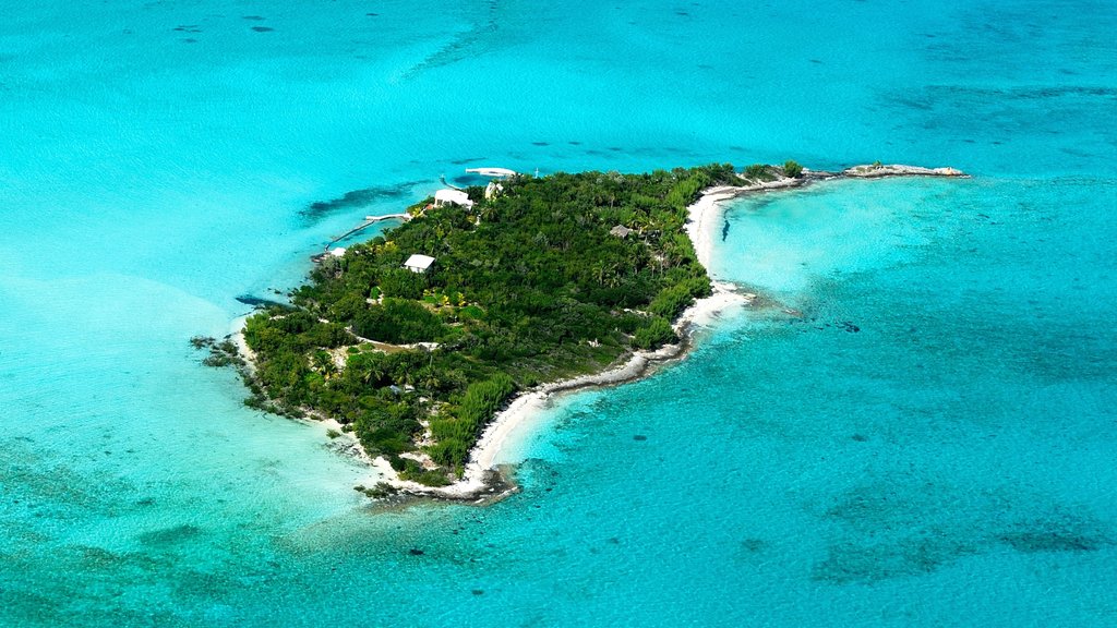 Ilha de Andros que inclui imagens da ilha e cenas tropicais