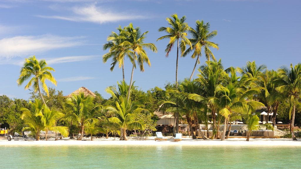 Isla Andros ofreciendo una playa, escenas tropicales y vista panorámica