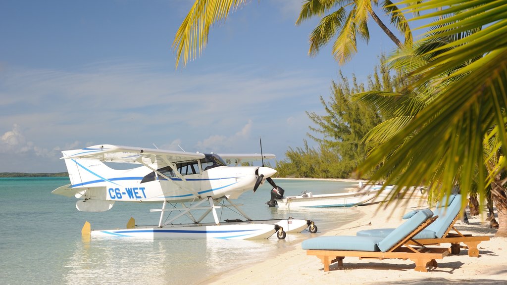 Isla Andros mostrando escenas tropicales, una playa de arena y una aeronave