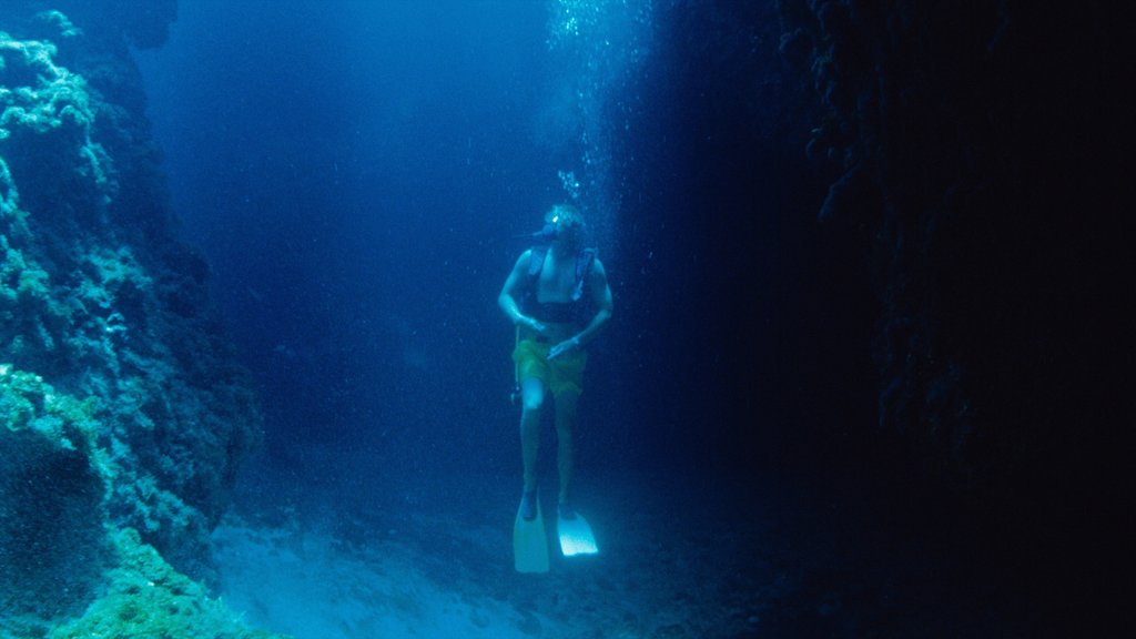 Isla Andros ofreciendo zambullida y coral y también un hombre