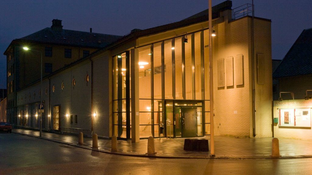 Museo de Arqueología ofreciendo escenas nocturnas