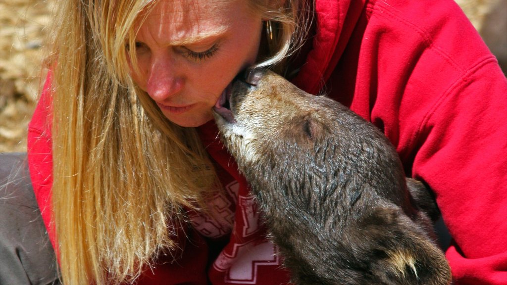 Rexburg ofreciendo animales domésticos y animales de zoológico y también una mujer