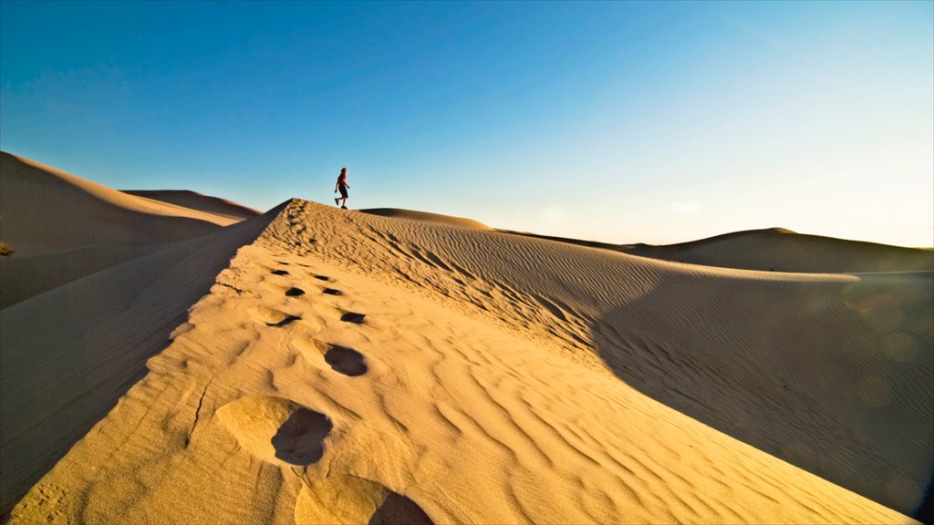 Yuma toont woestijnen, landschappen en hiken of wandelen