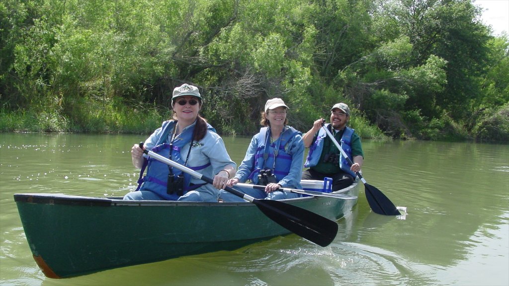 McAllen ofreciendo un río o arroyo, kayaks o canoas y vista panorámica