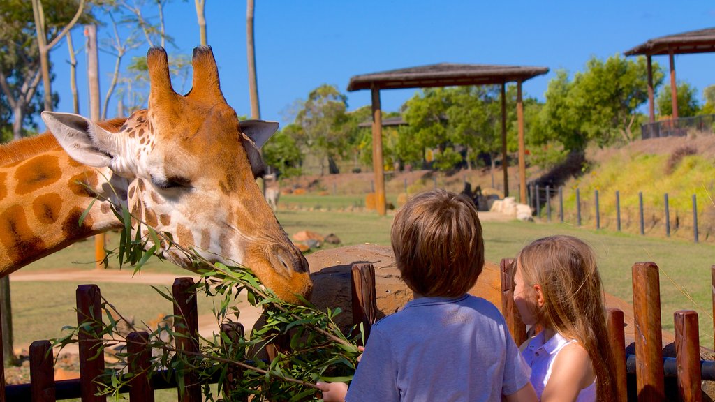 Australia Zoo showing land animals and zoo animals as well as children