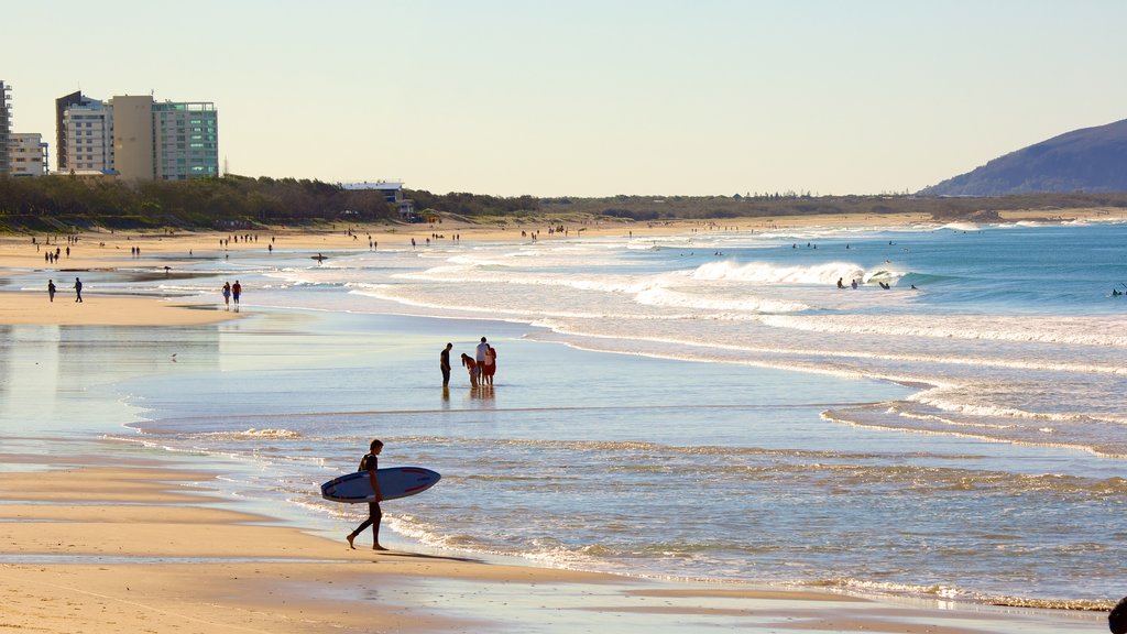 Alex Beach showing surfing and a sandy beach as well as a large group of people