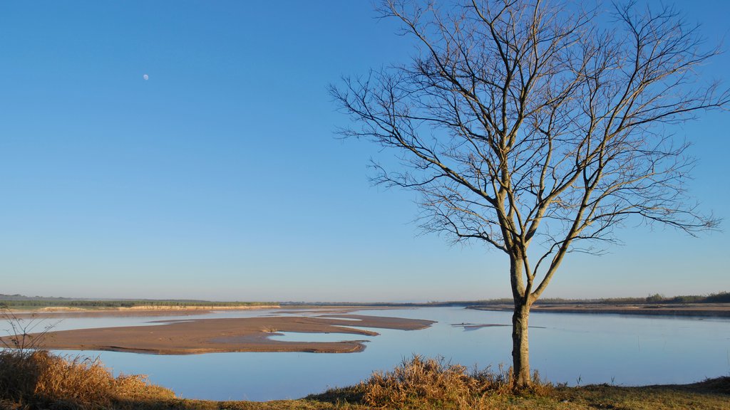 Chaco mettant en vedette un lac ou un point d’eau et terres humides