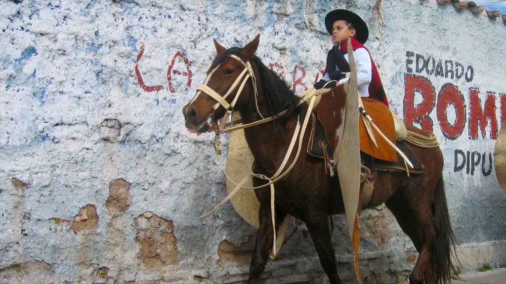 Salta caracterizando animais terrestres e cavalgada assim como uma criança sozinha