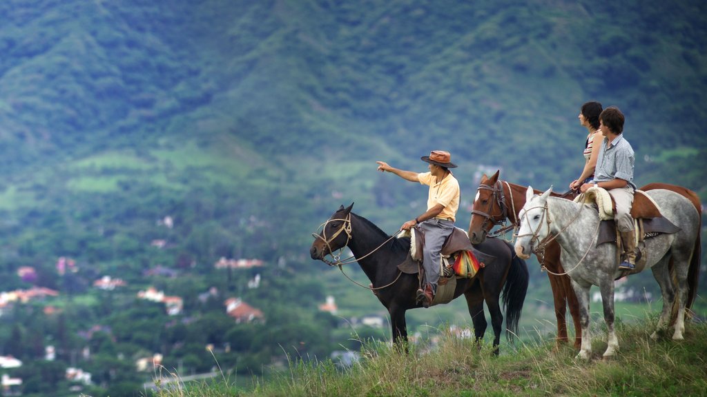 Salta showing land animals and horse riding as well as a small group of people