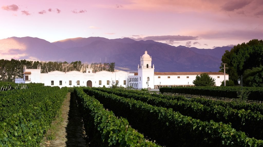 Cafayate que incluye un atardecer