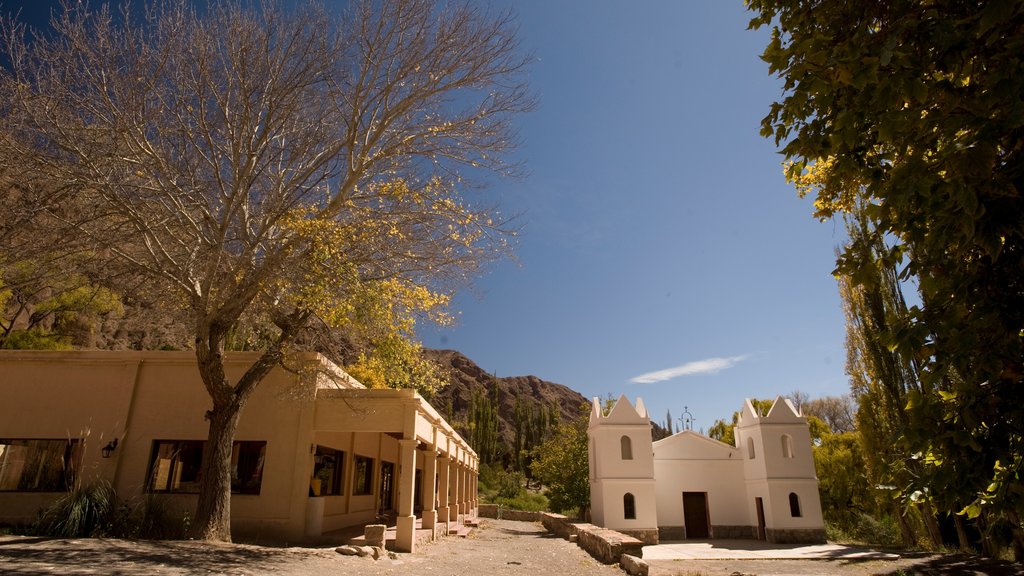 Cafayate showing street scenes