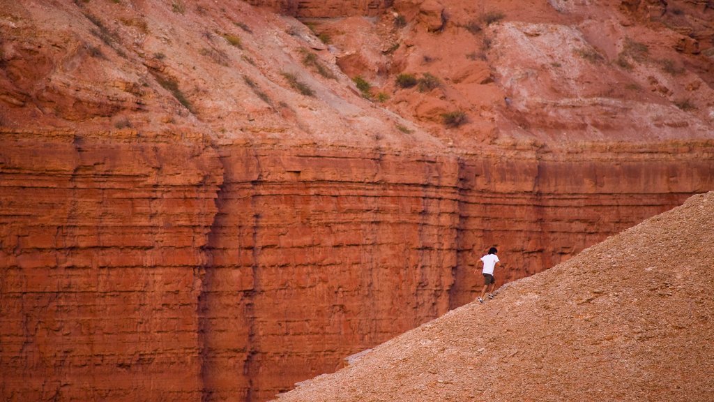 Cafayate que incluye caminatas y montañas y también un hombre