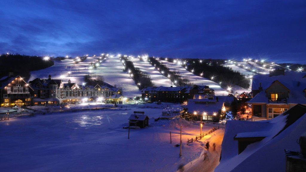 Blue Mountain Ski Resort showing a small town or village, night scenes and snow