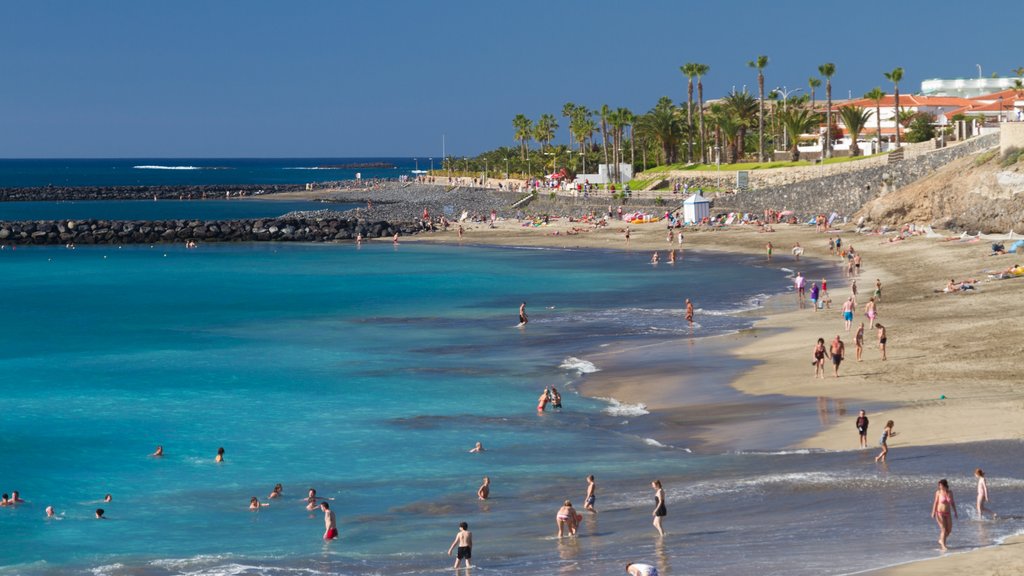 Adeje showing landscape views, a sandy beach and swimming