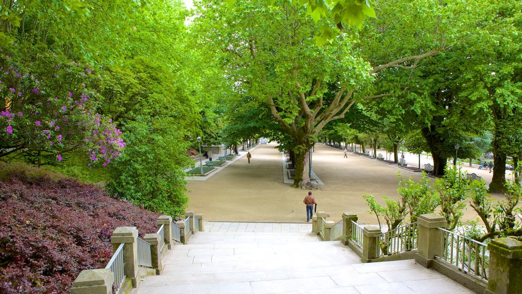 Alameda Park showing a garden