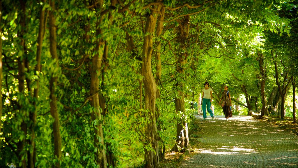 Palazzo Estense que inclui um parque assim como um pequeno grupo de pessoas