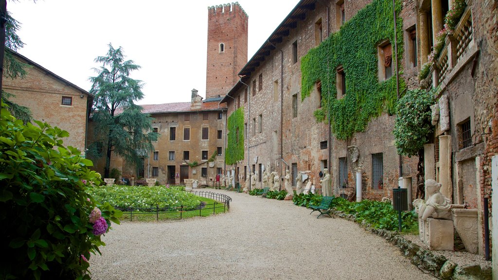 Vicenza ofreciendo escenas urbanas y elementos del patrimonio