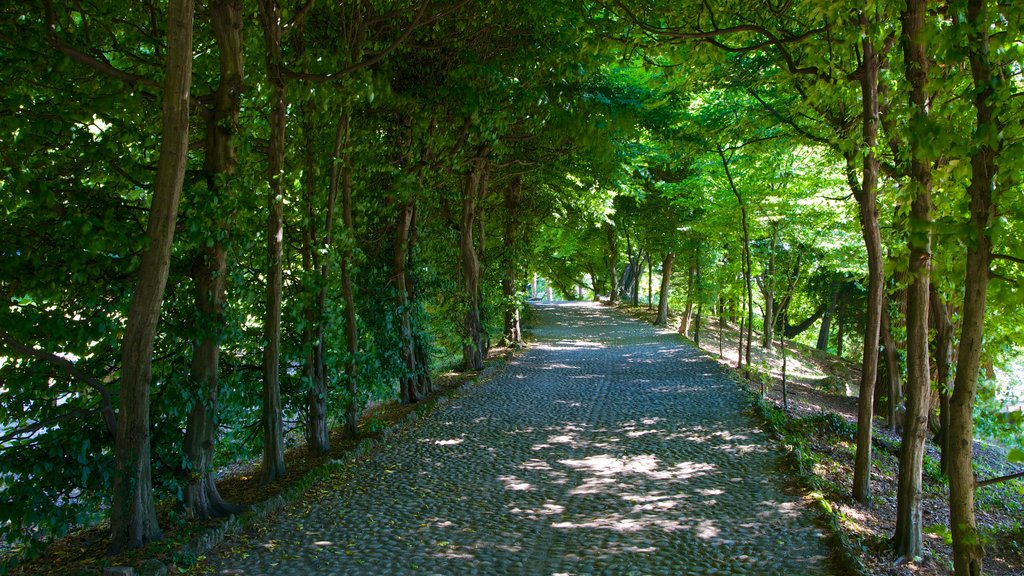 Estense Palace showing a garden