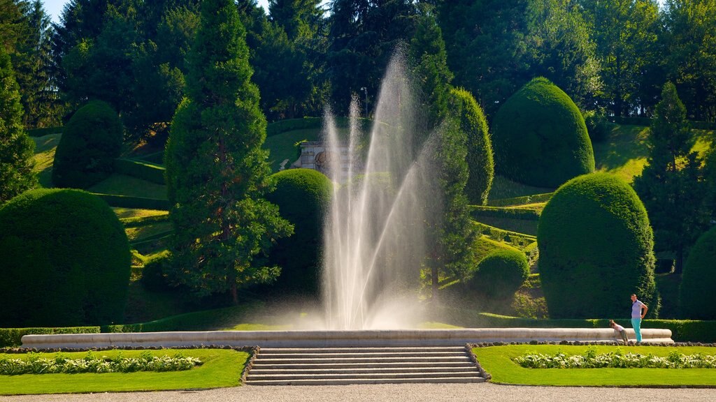 Estense Palace which includes a fountain and a park