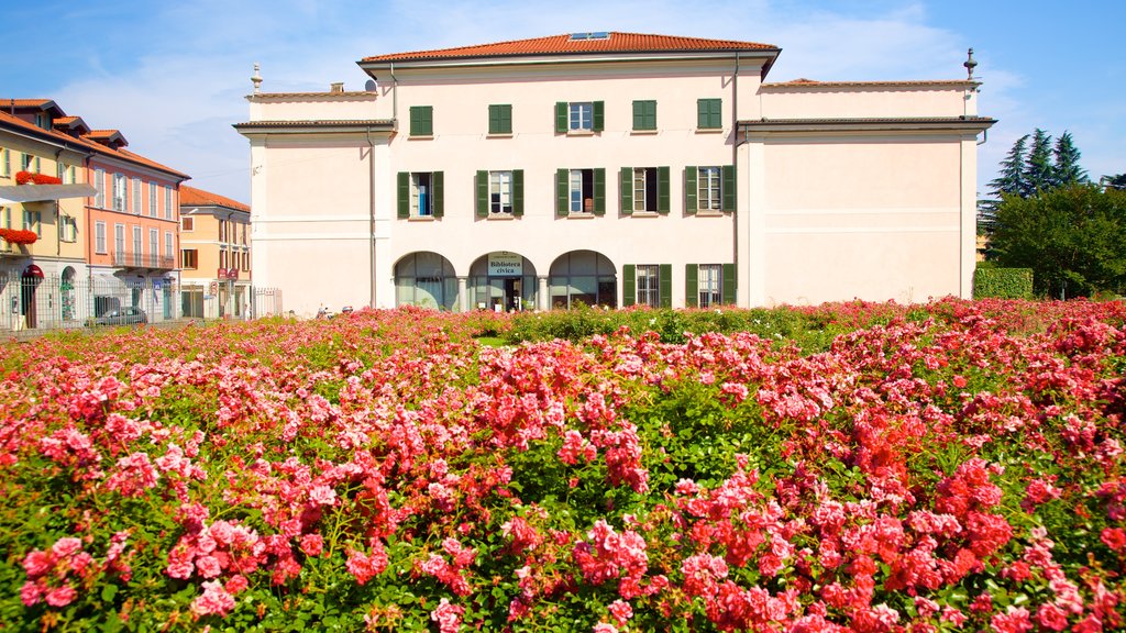 Estense Palace which includes a park, a castle and flowers