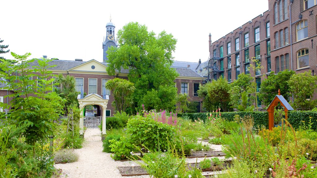 Hortus Botanicus featuring heritage architecture, flowers and a park