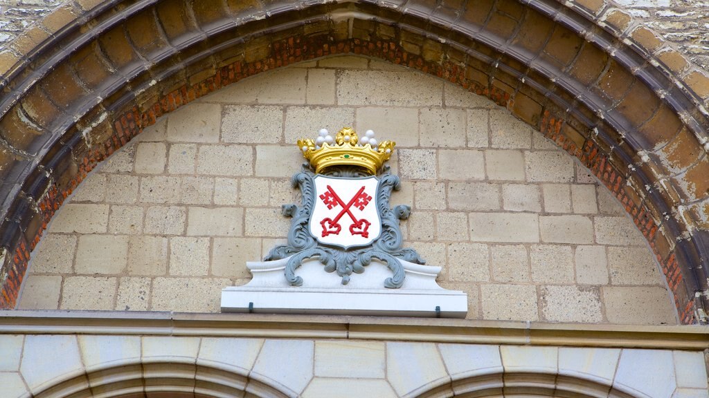 Pieterskerk showing heritage architecture and an administrative buidling